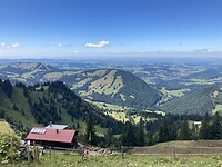 IMG_3223
