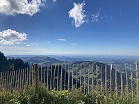 IMG_3238