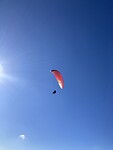 IMG_3239