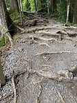 IMG_3319