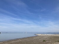 IMG_3342