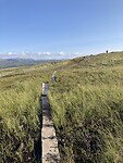IMG_4629