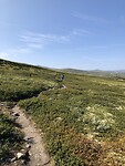 IMG_7139