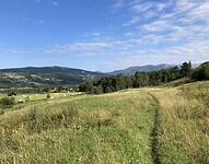IMG_4753