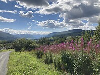 IMG_4770