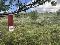 IMG_4699
