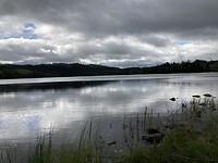 IMG_4929