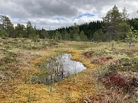 IMG_4963