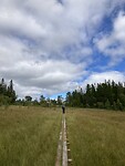 IMG_4969