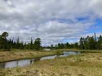 IMG_4951