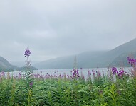 IMG_6189