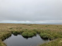 IMG_6342