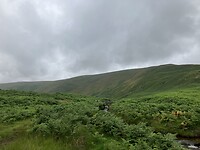 IMG_6343