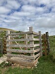 IMG_6367