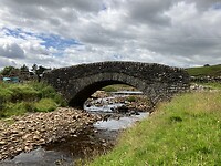 IMG_6495