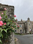 IMG_6521