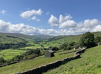 IMG_6545