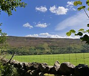 IMG_6551