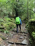 IMG_6568