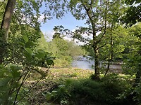 IMG_6627