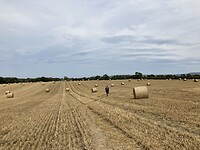 IMG_6652