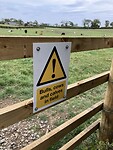 IMG_6653