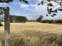 IMG_6659