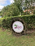 IMG_6661