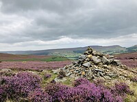 IMG_6733