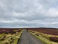 IMG_6742