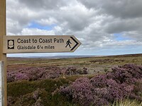 IMG_6758