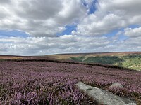 IMG_6767