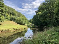 IMG_6774