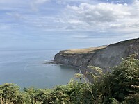 IMG_6801