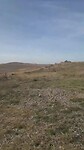 landschap rondom Davit Gareja