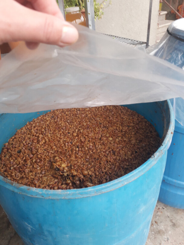 Fermentatieproces