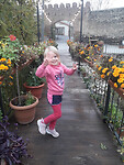 de laatste bloemen