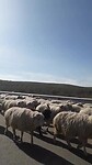 Op weg naar Kachetie