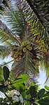 IMG-20230325-WA0001