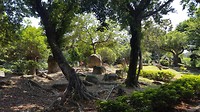 Cks park