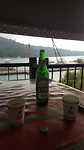 Bier