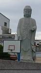 Basket budda