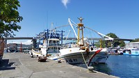 Haven1