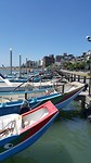 Haven1 (1)