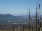 Mount Shasta