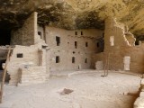 Spruce Tree House
