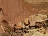Petroglyphs