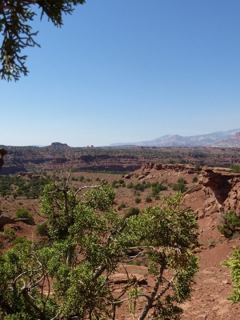 Capitol Reef NP