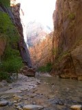 Narrows
