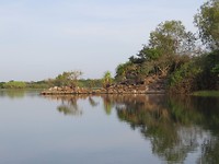 Boottripje over de Mary river